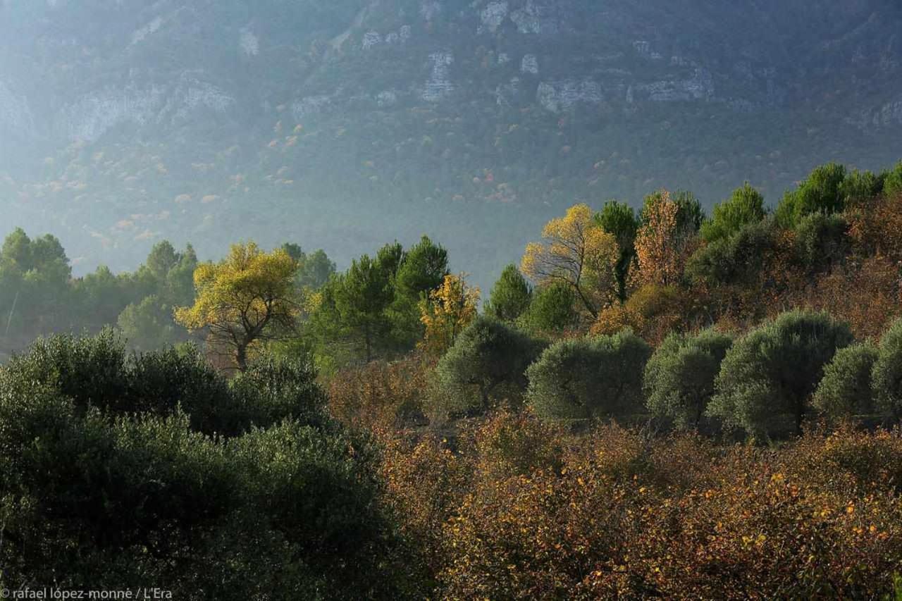 Casa Rural Lera Torre de Fontaubella Экстерьер фото